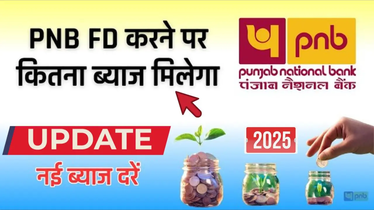 Pnb fd